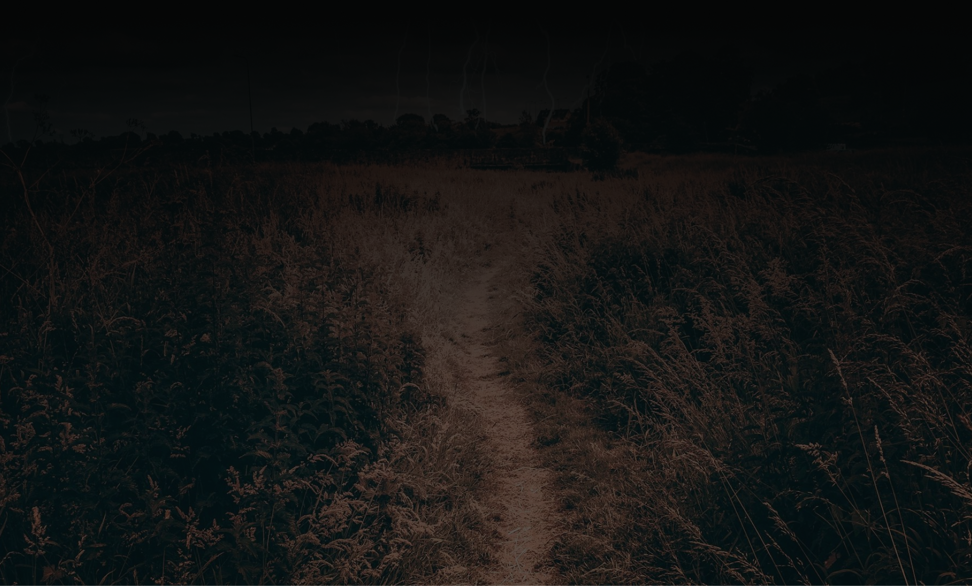 Atmospheric scene from the NOTaBENZ journey